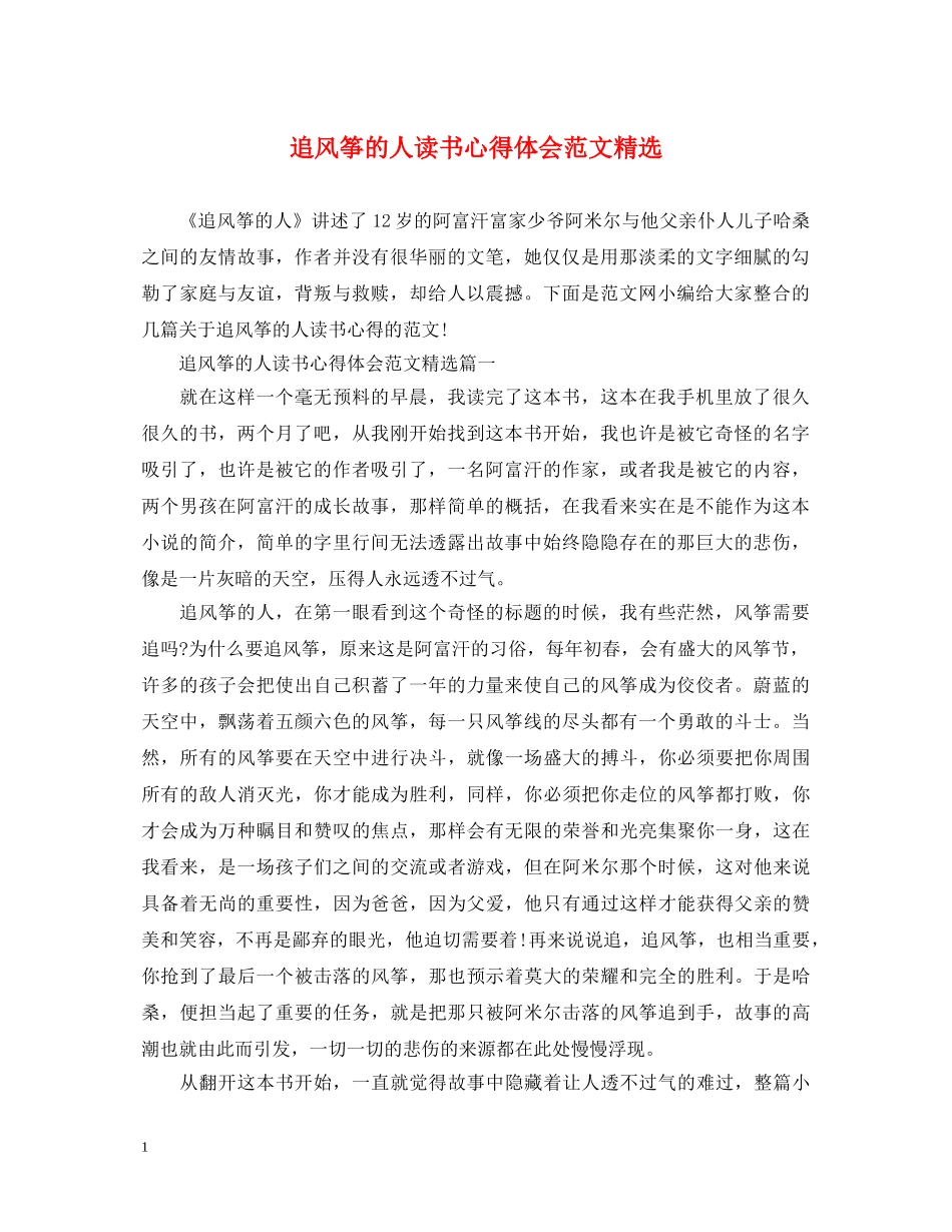 追风筝的人读书心得体会范文精选 _第1页