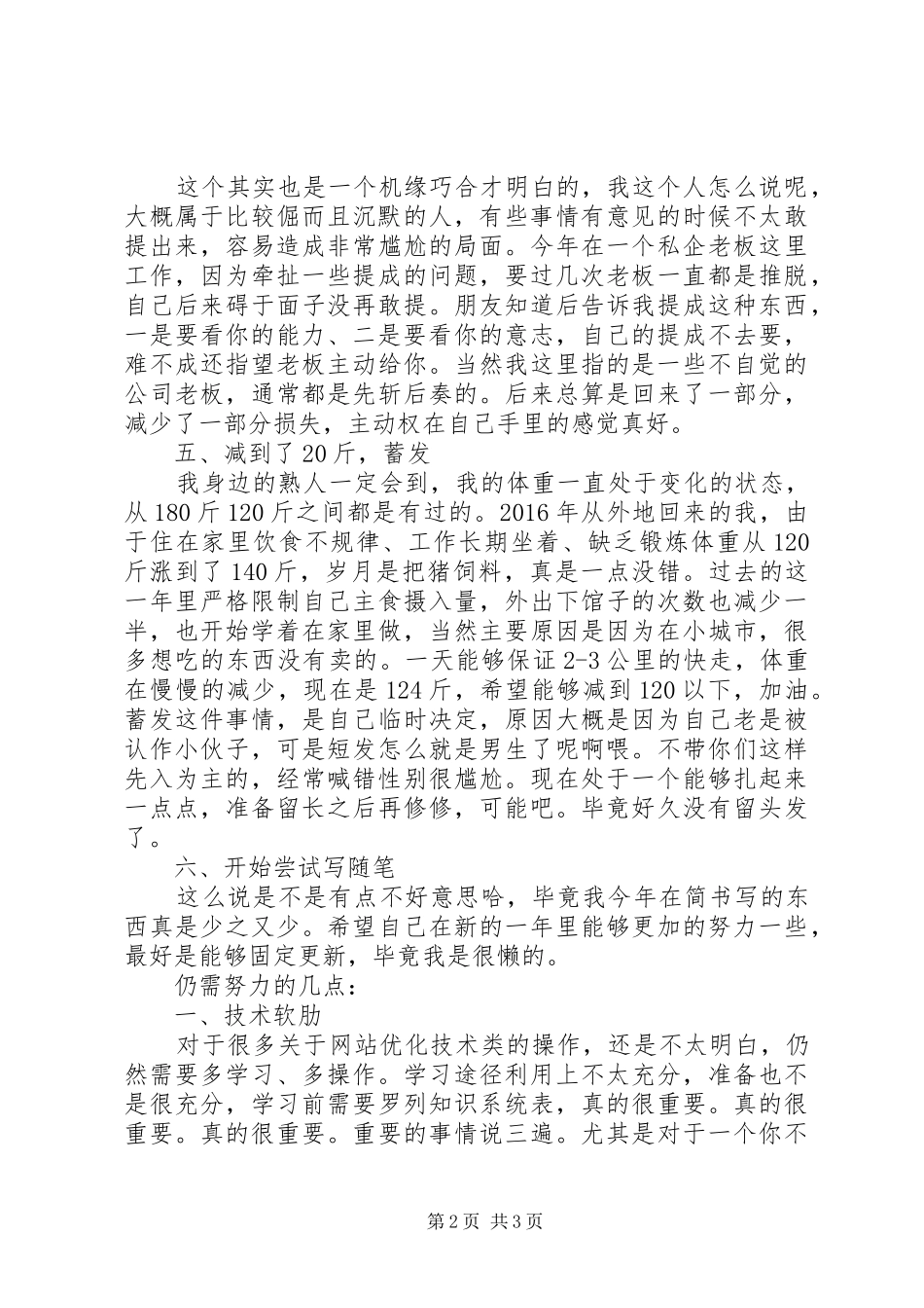 悲喜交加的20XX年该如何总结_第2页