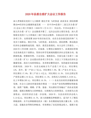 2024年县委全委扩大会议工作报告 