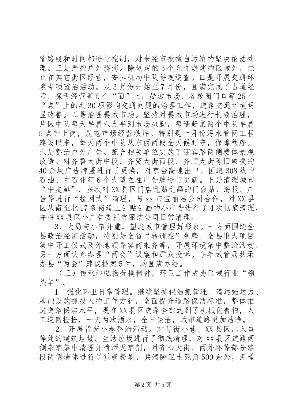 城管局市容管理工作总结 _第2页