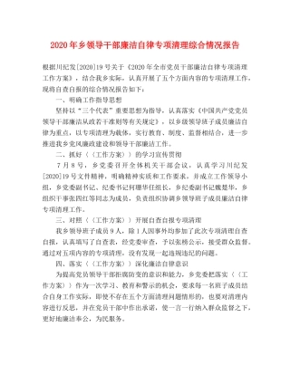 2024年乡领导干部廉洁自律专项清理综合情况报告 