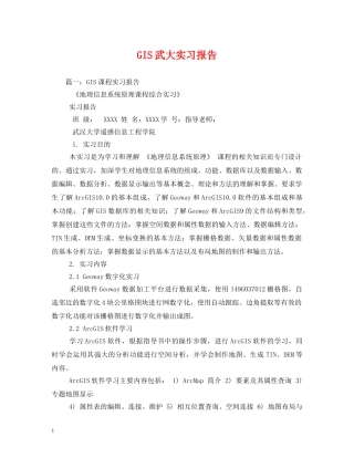 GIS武大实习报告 (000001)