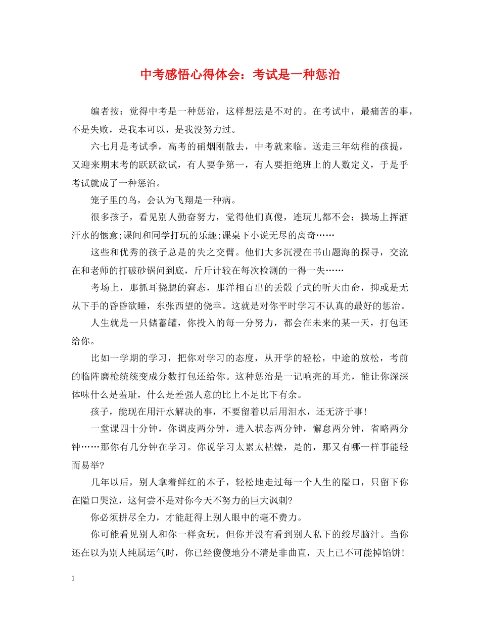 中考感悟心得体会：考试是一种惩治 _第1页
