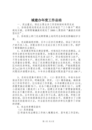 城建办年度工作总结 
