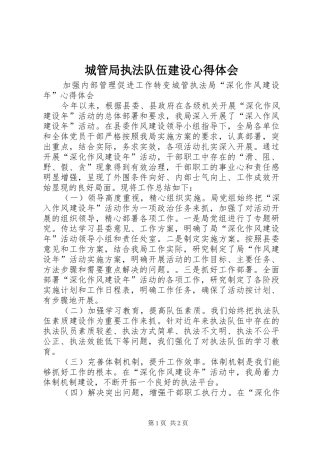 城管局执法队伍建设体会心得