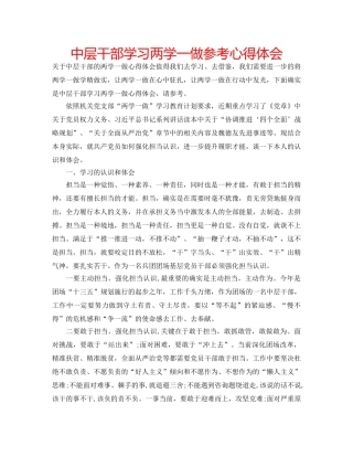 中层干部学习两学一做参考心得体会 