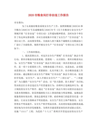 2024市粮食局打非治违工作报告 