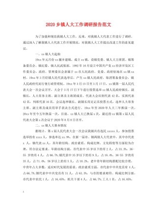 2024乡镇人大工作调研报告范文 