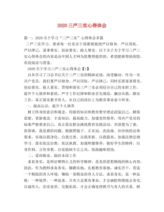 2024三严三实心得体会 