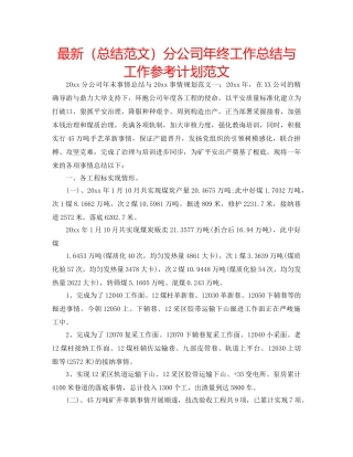 最新（总结范文）分公司年终工作总结与工作参考计划范文 