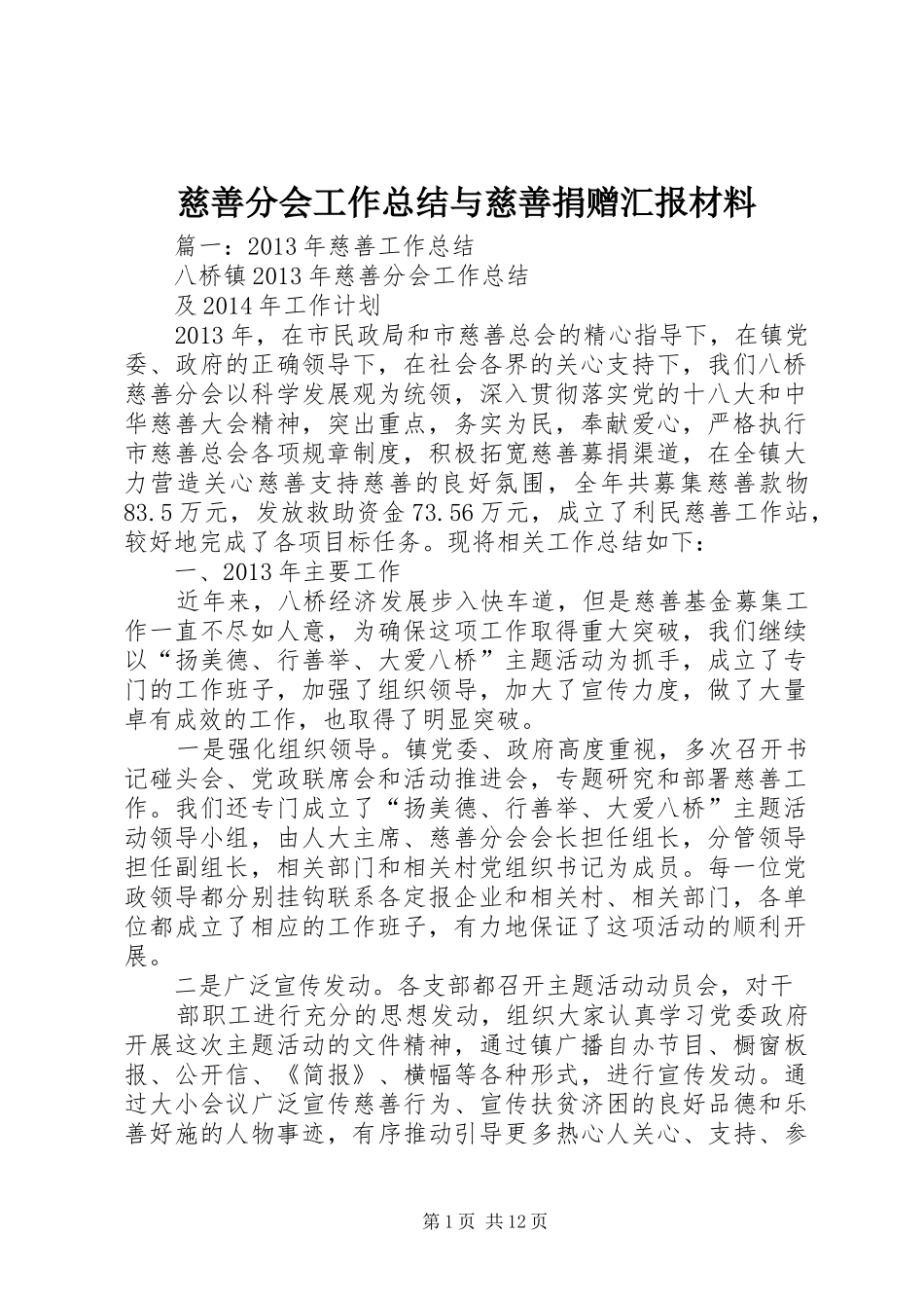 慈善分会工作总结与慈善捐赠汇报材料 _第1页