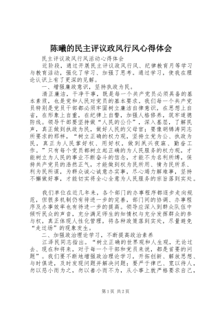 陈曦的民主评议政风行风体会心得