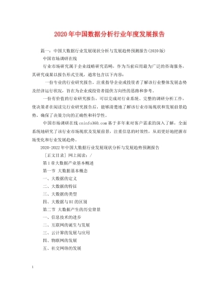 2024年中国数据分析行业年度发展报告 