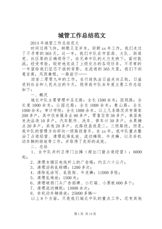 城管工作总结范文 