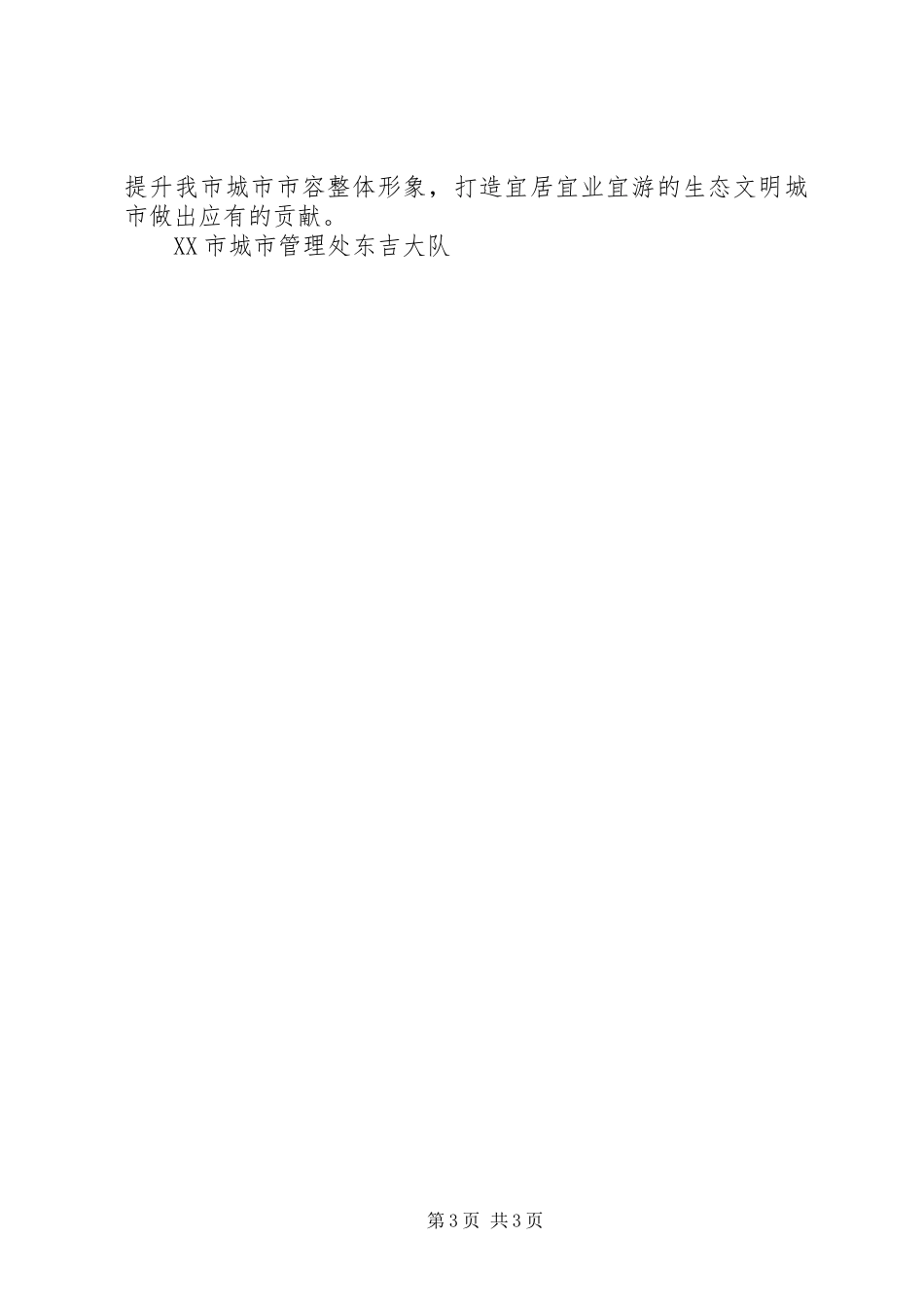 城市管理大队工作总结 _第3页