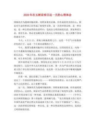 2024年在玉树哀悼日这一天的心得体会 