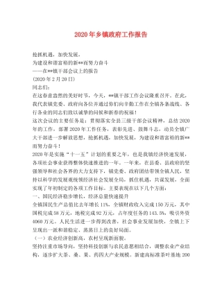 2024年乡镇政府工作报告(1) 