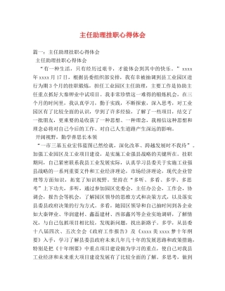 主任助理挂职心得体会 