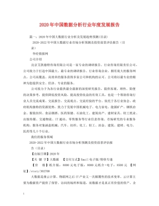 2024年中国数据分析行业年度发展报告(1) 