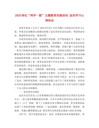 2024深化“两学一做”主题教育实践活动 延安学习心得体会 
