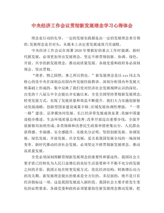 中央经济工作会议贯彻新发展理念学习心得体会 