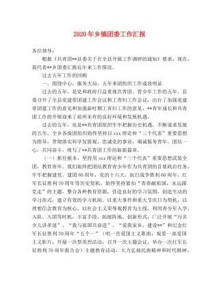 2024年乡镇团委工作汇报 