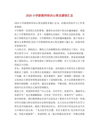 2024小学新教师培训心得及感悟汇总 