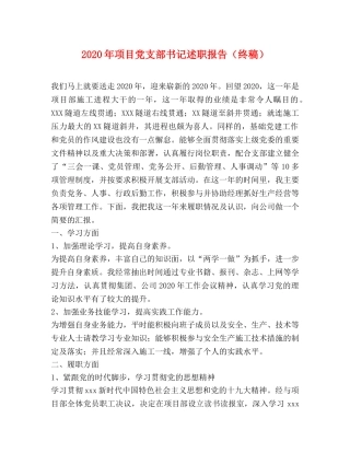 2024年项目党支部书记述职报告（终稿） 