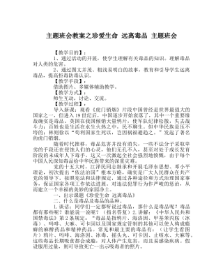主题班会教案珍爱生命 远离毒品 主题班会 