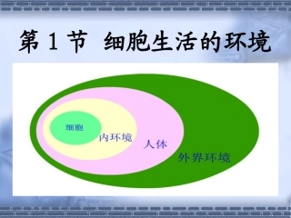 改11细胞生活的环境课件3新人教版必修3
