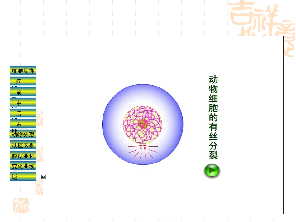 减数分裂受精作用（课件）_第3页