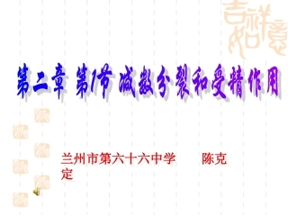 减数分裂受精作用（课件）