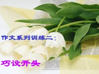 作文系列训练二巧设开头