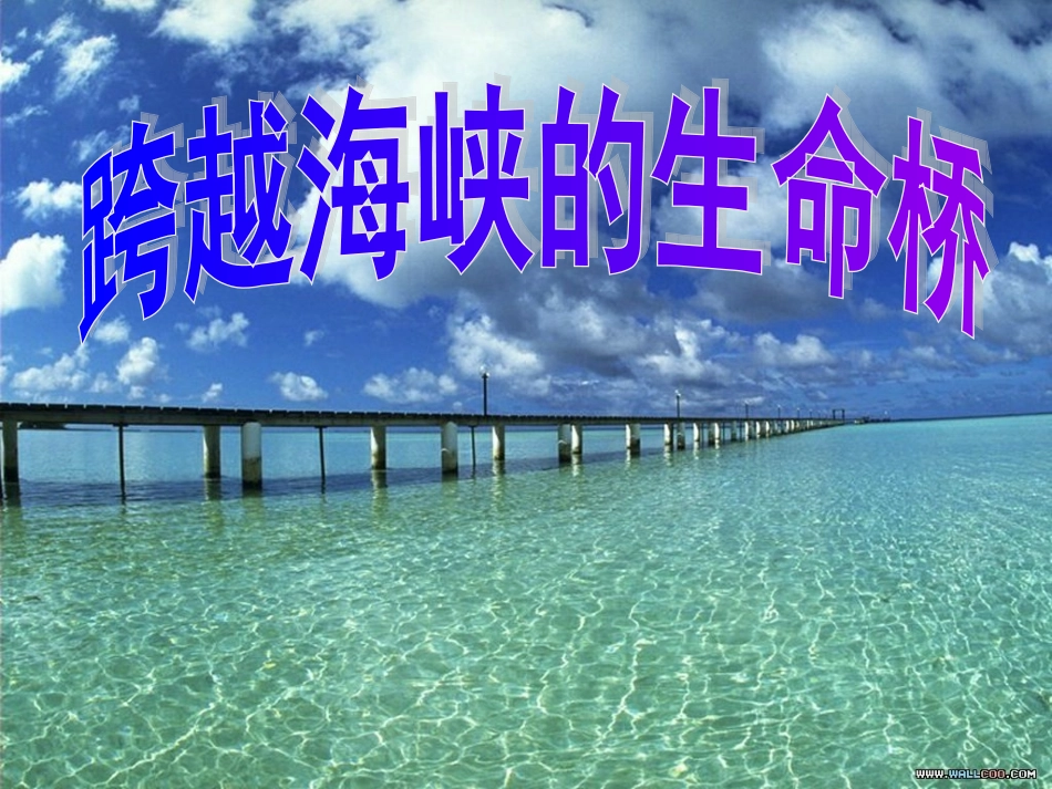 跨越海峡的生命桥》课件20111124_第1页