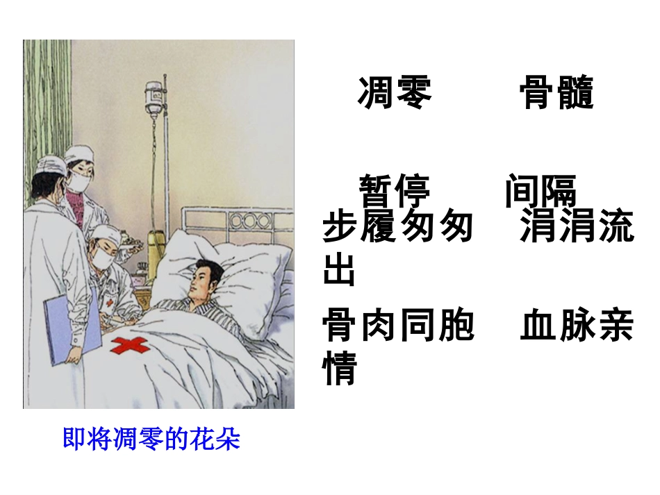 跨越海峡的生命桥》课件20111124_第3页