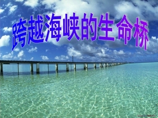 跨越海峡的生命桥》课件20111124