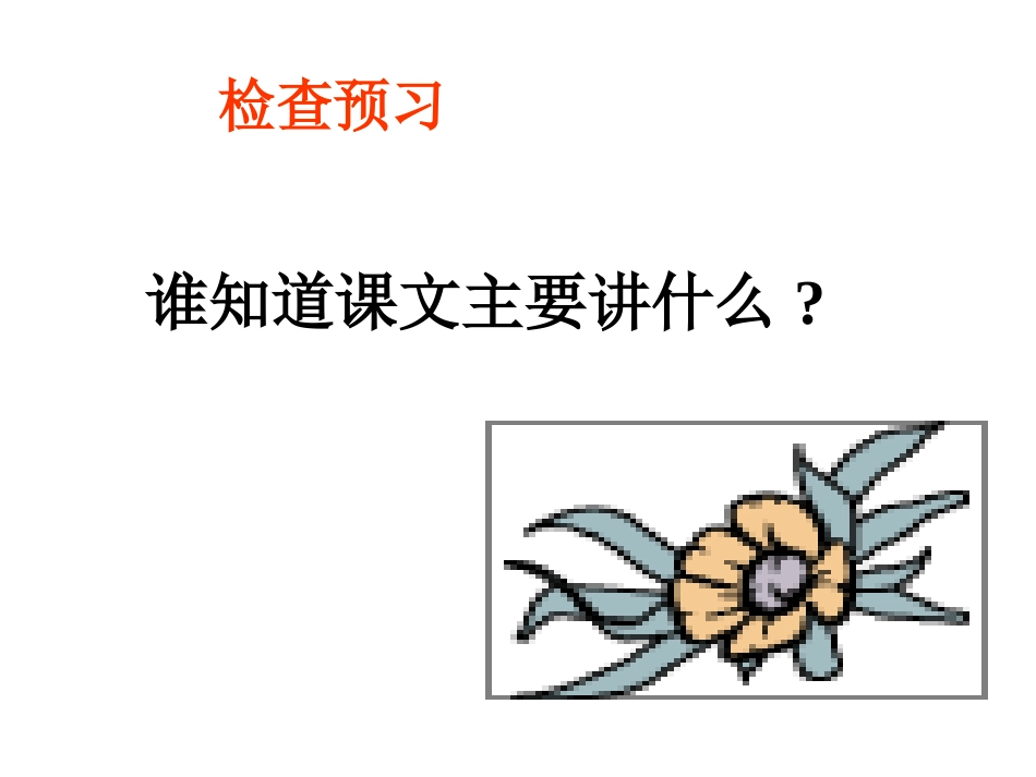 小学语文11册《“精彩极了”和“糟糕透了”》_第3页