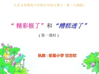小学语文11册《“精彩极了”和“糟糕透了”》