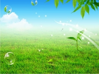 绿色生机PPT模板