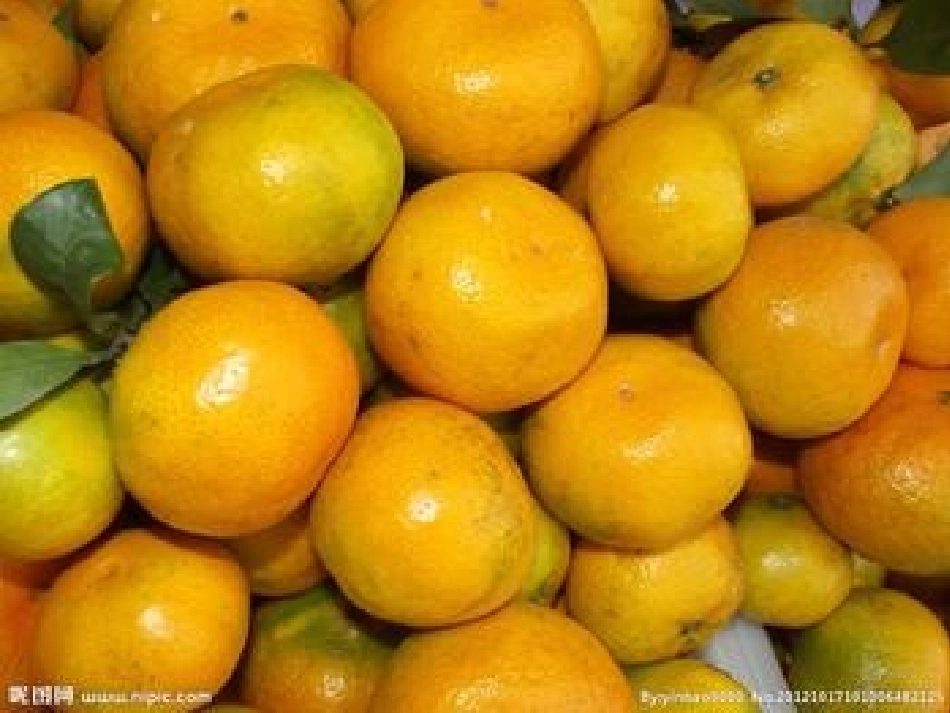 《橘子宝宝》PPT_第3页