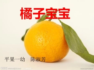 《橘子宝宝》PPT