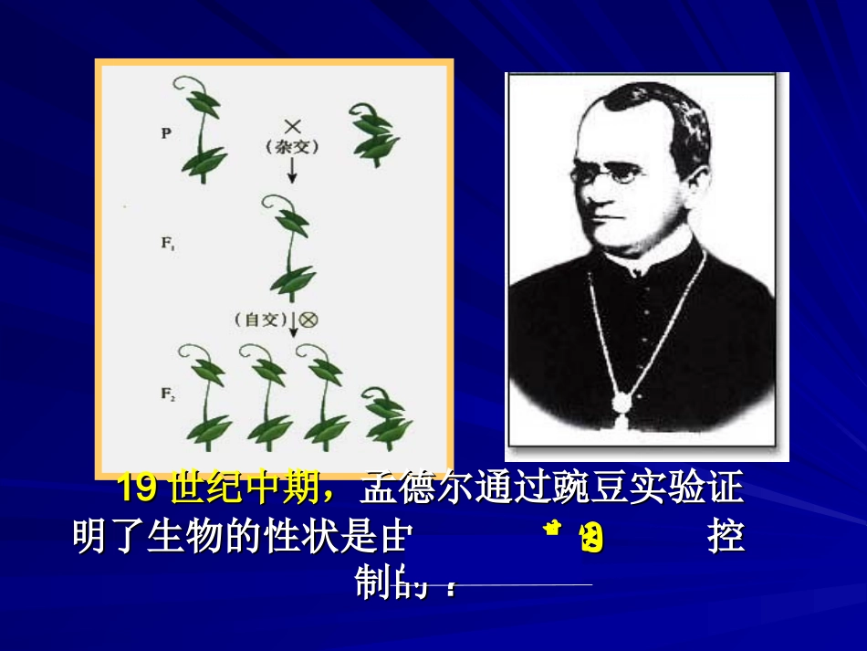 [课件]第06课DNA是主要的遗传物质_第2页