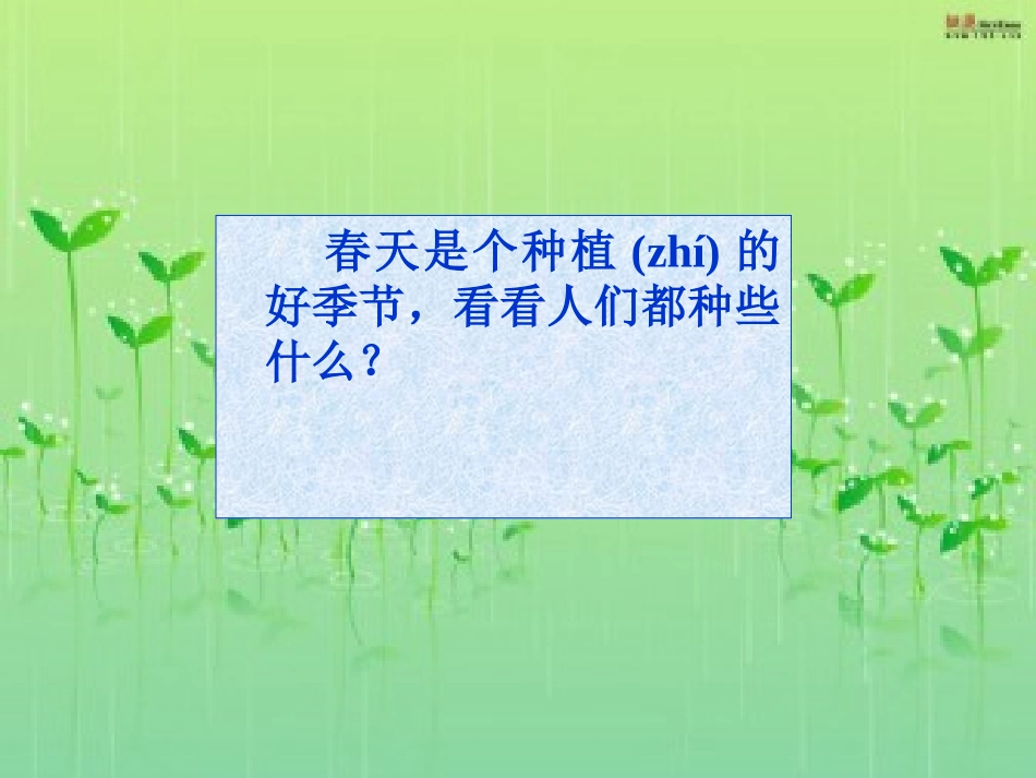 人教版小学一年级下册品德与生活6小苗快快长PPT课件_第2页