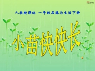 人教版小学一年级下册品德与生活6小苗快快长PPT课件