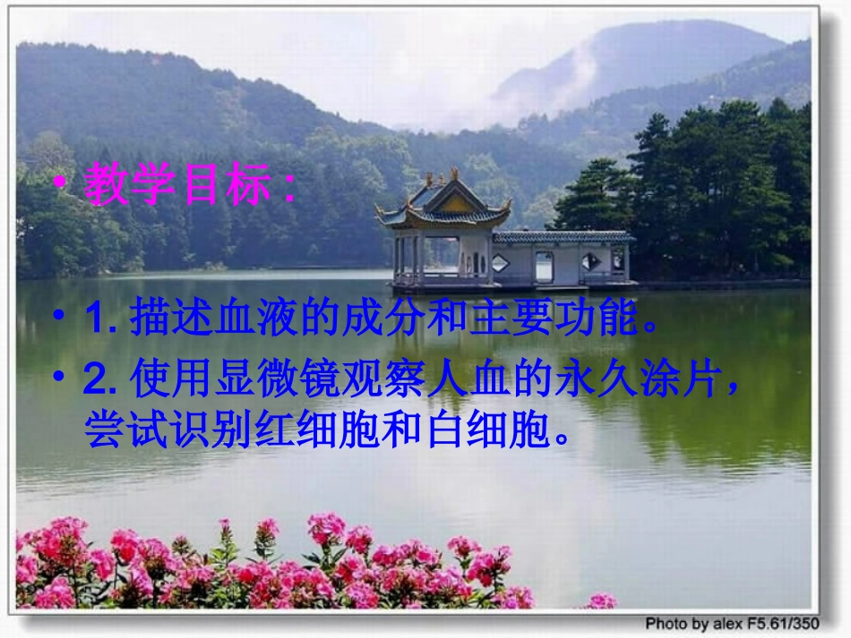 七年级生物第一节_流动的组织─血液课件人教版_第2页