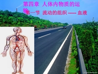 七年级生物第一节_流动的组织─血液课件人教版