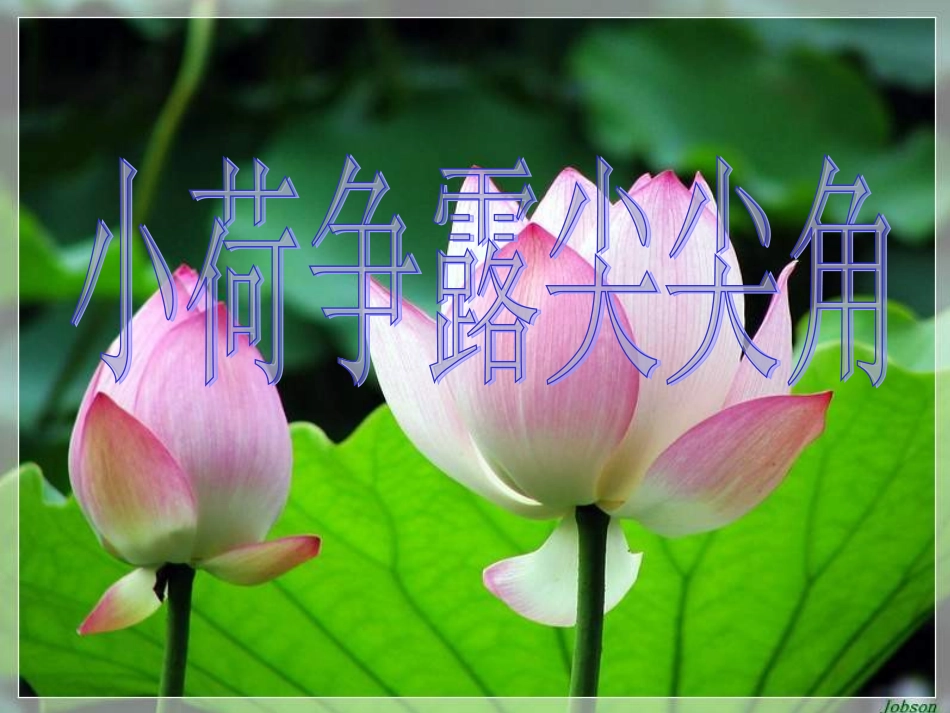 湘教版思品七上《小荷争露尖尖角》课件_第1页