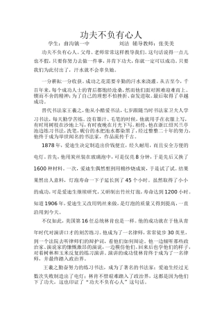 功夫不负有心人刘洁