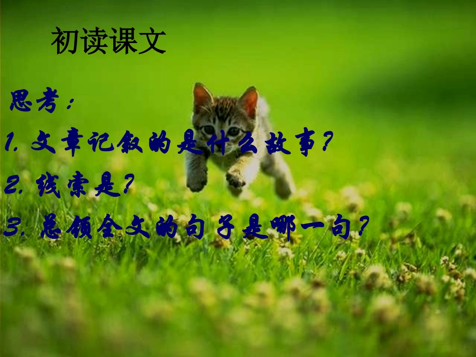 《猫》上课用课件_第2页
