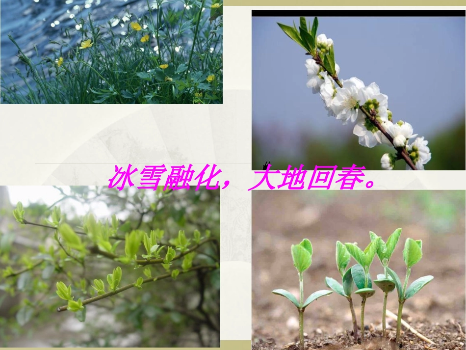 《燕子》课件3(1)_第1页